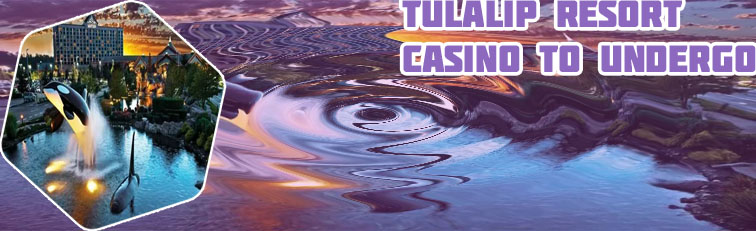 New tulalip casino
